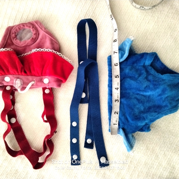 Alfie Dog Sanitary Panties w/Adjustable Waist & Adjustable Suspenders (Set of 2) - Picture 2 of 7